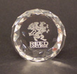Crystal Paper Weight With Etched Griffin