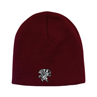 Youth Beanie
