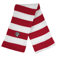 Rugby Striped Scarf